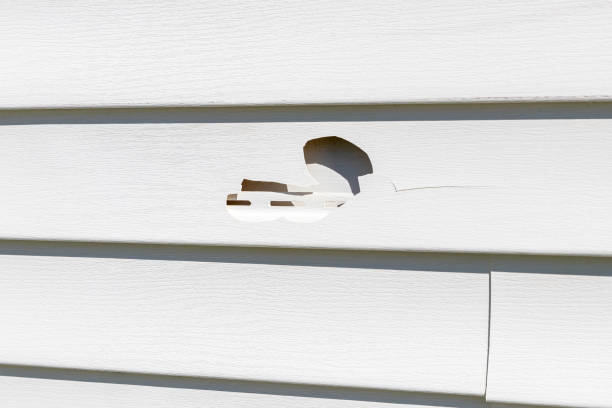 Affordable Siding Repair and Maintenance Services in Hagerman, ID