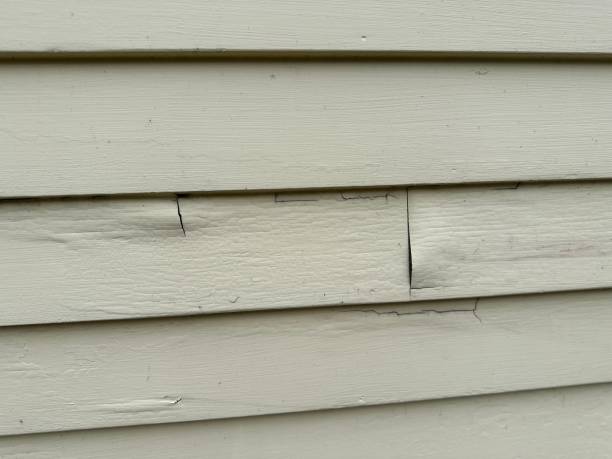 Best Steel Siding Installation  in Hagerman, ID